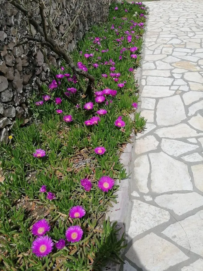 Holiday home Kuca Za Odmor Ana Villa Razanac